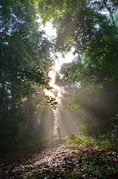 istock The way  of life 486642508