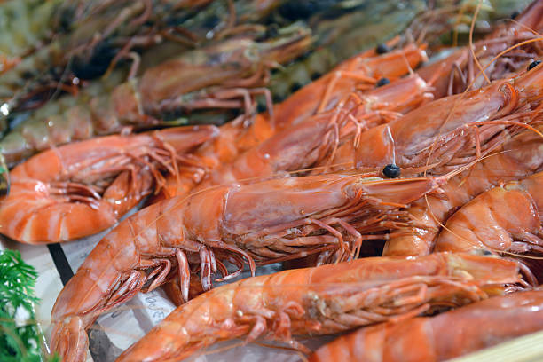 istock Shrimps on a market 486644515