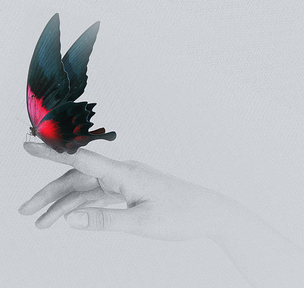 istock butterfly on woman's hand. In motion 486645073