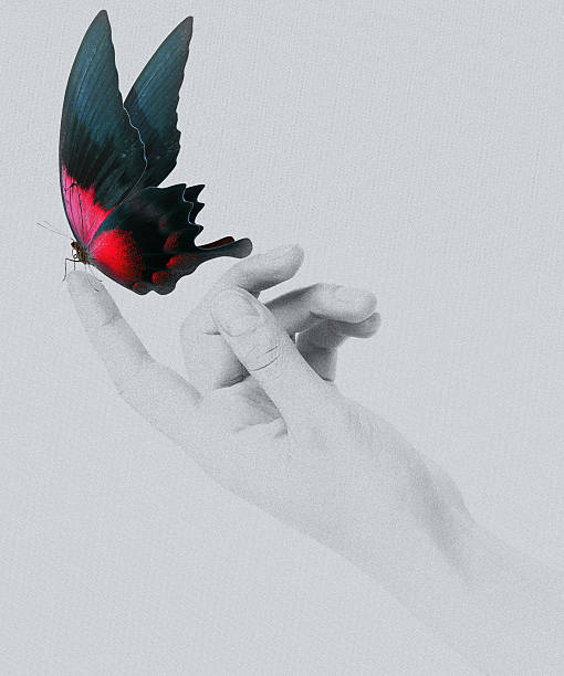 istock butterfly on woman's hand. In motion 486645075