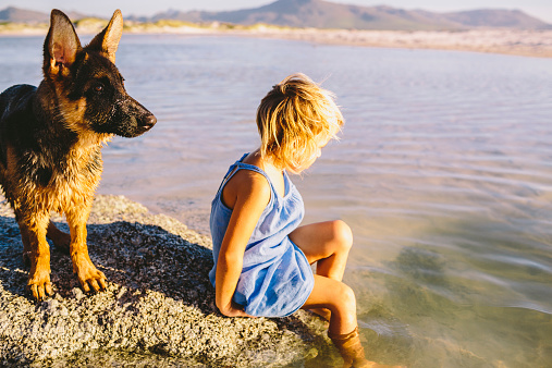 Young girl playing with dog at beach