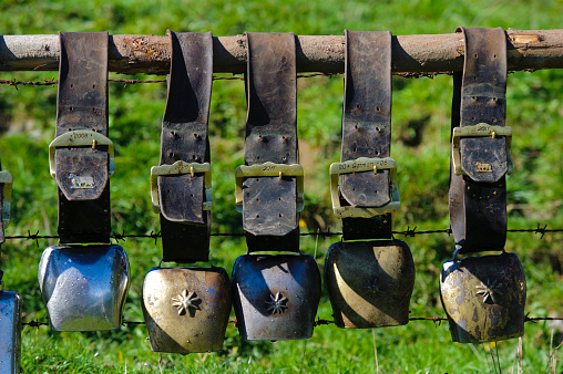 cow bells in row on fence in Bavaria