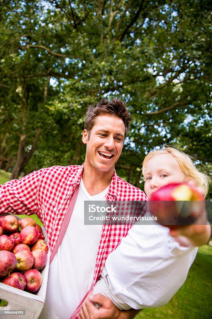 Father carrying boy and apples Adult Stock Photo