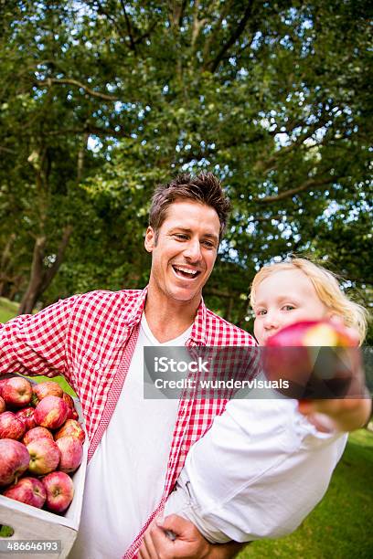 Father Carrying Boy And Apples Stock Photo - Download Image Now - Adult, Apple - Fruit, Box - Container