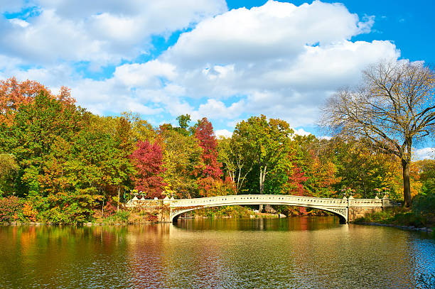 istock New York City Central Park in autumn 486646626