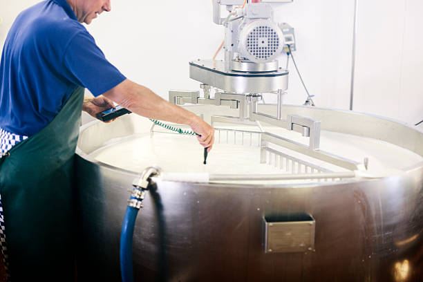 traditionnel fromagerie - cheese making photos et images de collection