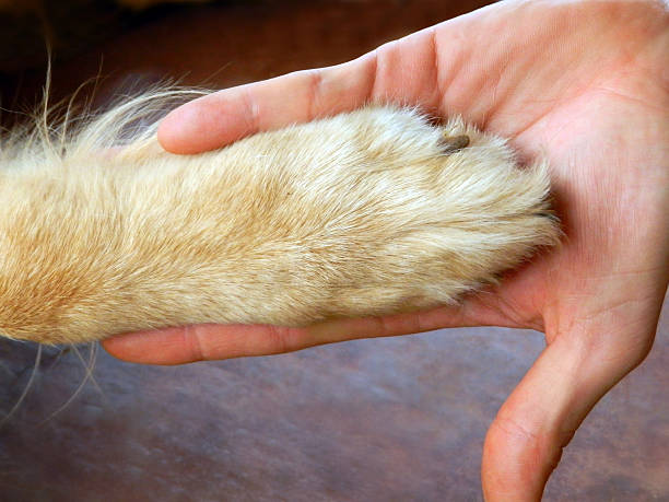 istock I wanna hold your hand 486648284