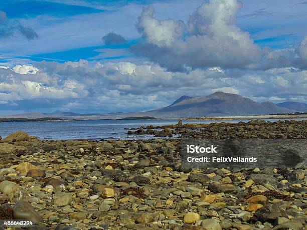 Rocky Shore Stock Photo - Download Image Now - 2015, Algae, Animal Wildlife