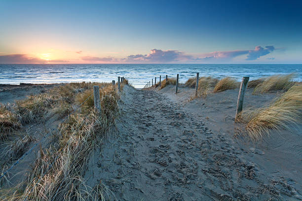 istock sand path to North sea beach at sunset 486648324