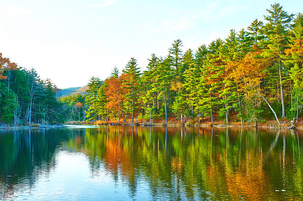 istock Pond in White Mountain National Forest, New Hampshire 486649454