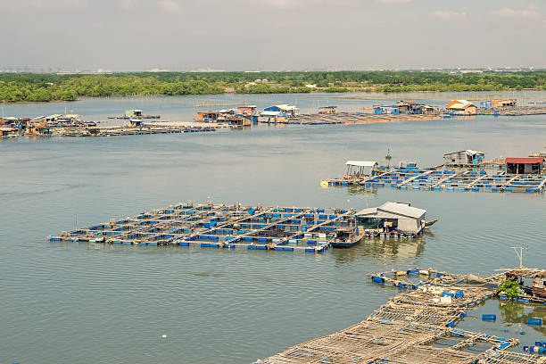 istock Raft houses and floating cages on fresh water 486649834