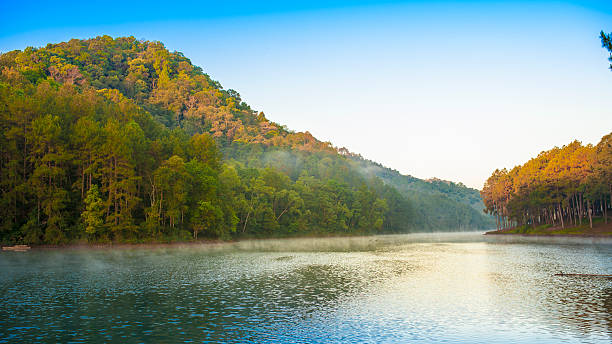 istock Sunrise at Pangoung, Thailand 486650413