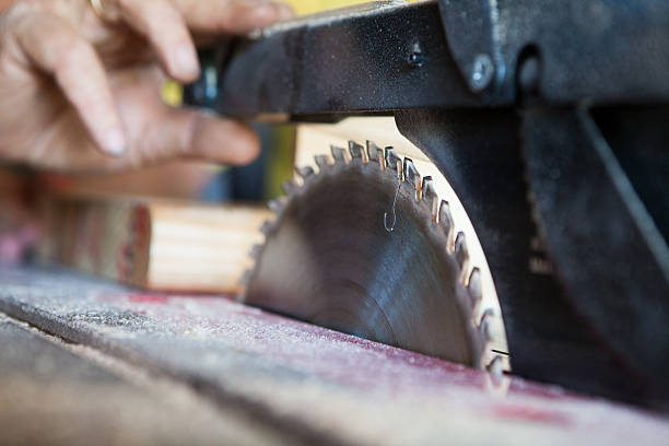istock Carpenter adjusts the circular saw to cut his wood 486650801
