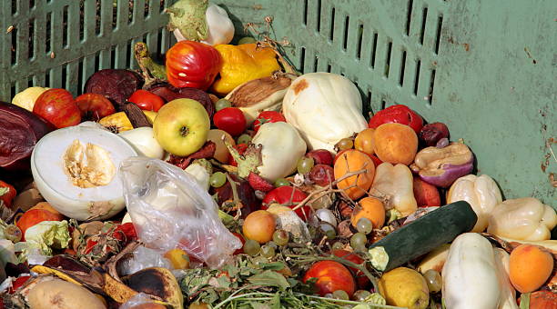 istock fruit and vegetables to throw used as manure 486651231