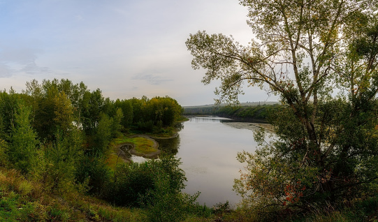 September. The first days of autumn. Cloudy sky reflected in the water. Yellow leaves and grass. The horizon is covered with haze. Siberia in 2015..