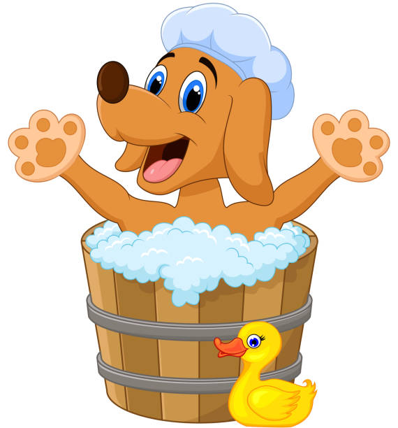 ilustraciones, imágenes clip art, dibujos animados e iconos de stock de perro de historieta bañándose en el perro de baño - washtub