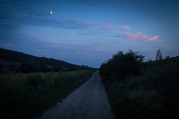 istock Dirt road in the countryside 486659500