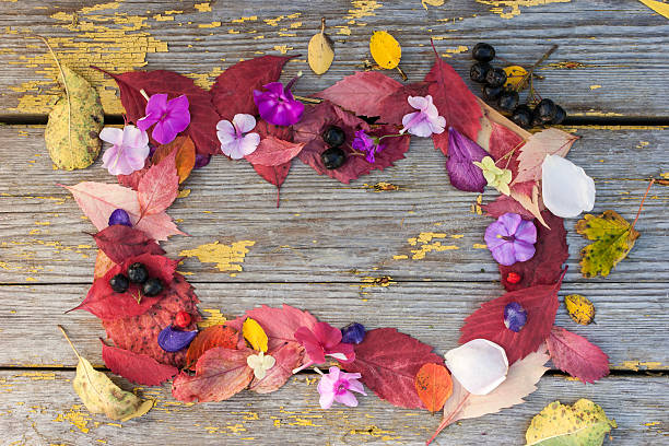 istock Frame made  of different leaves, flowers and berries 486662504