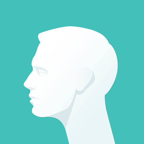 Human head. Silhouette of a man's head on a homogeneous background. Vector Flat illustration. head stock illustrations