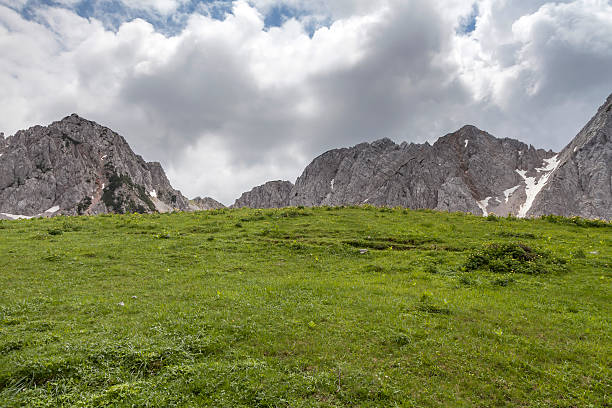 im bärental, kärnten - bergwiese foto e immagini stock