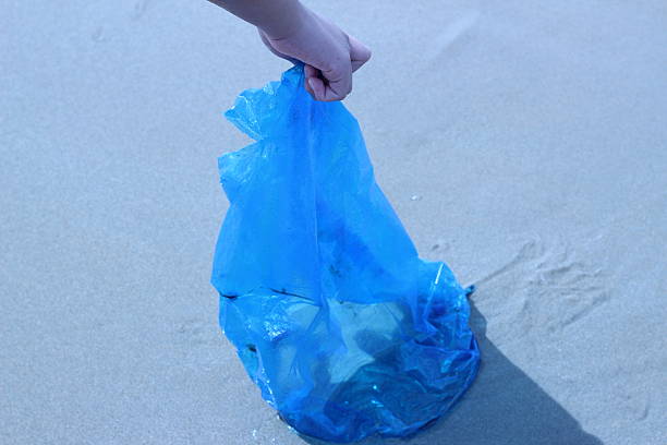 istock Little kids are picking garbage on the beach 486666328