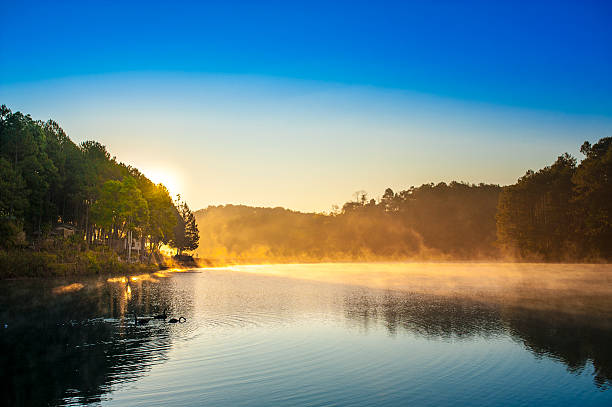 istock Sunrise at Pangoung, Thailand 486666371