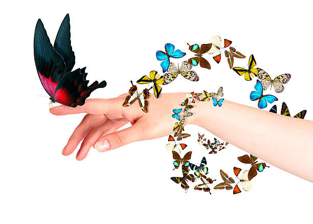 istock butterfly on woman's hand. In motion 486666491
