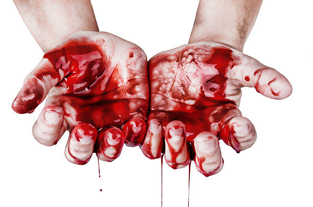 Hands in blood stock photo