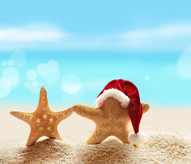 istock Santa hat on starfish at a beach 486667958