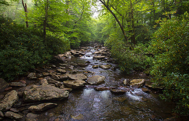 River in North Carolina Color image of a small river flowing over river rock in the Great Smoky Mountain National Park in North Carolina. great smoky mountains national park photos stock pictures, royalty-free photos & images