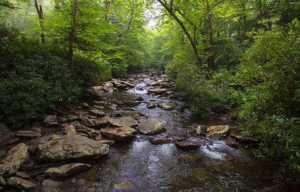 River in North Carolina Color image of a small river flowing over river rock in the Great Smoky Mountain National Park in North Carolina. Stream stock pictures, royalty-free photos & images