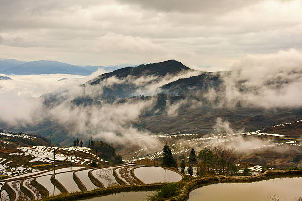 Terraced campo de arroz (Yuanyang Hani - fotografia de stock