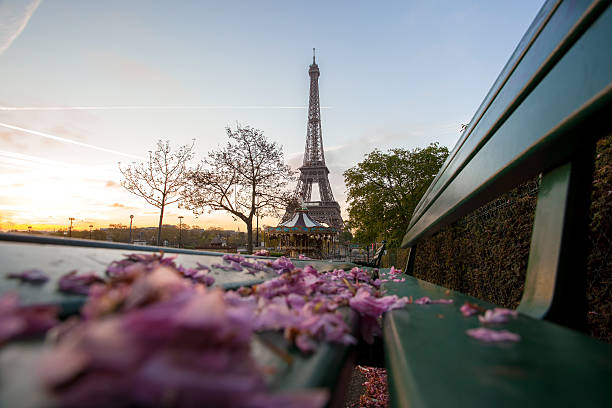 istock Eiffel Tower during spring time in Paris, france 486668701