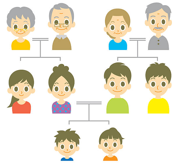 Family tree family tree, three generations, vector file pics of family tree chart stock illustrations
