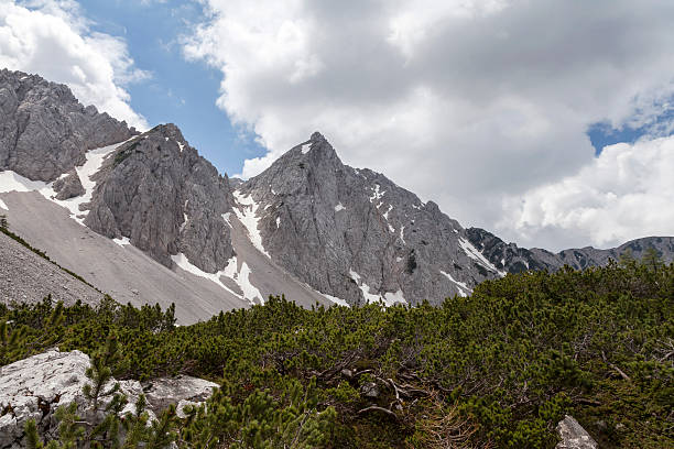 im bärental、kärnten - bergwiese ストックフォトと画像