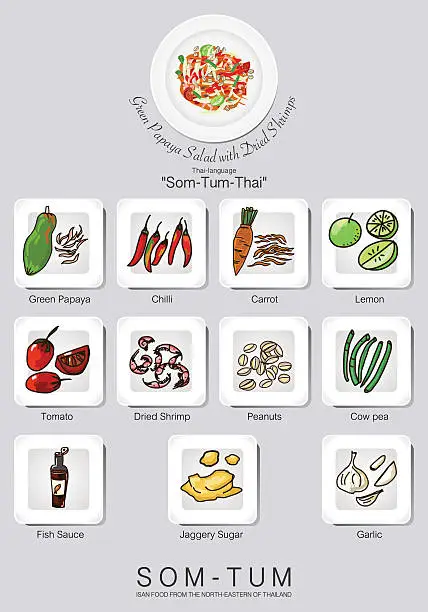Vector illustration of ingredients set of papaya salad or Som Tum ,Thai Food