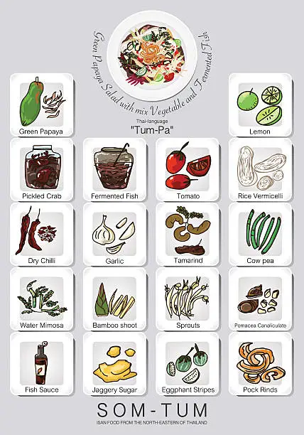 Vector illustration of ingredients set of papaya salad or Som Tum ,Thai Food