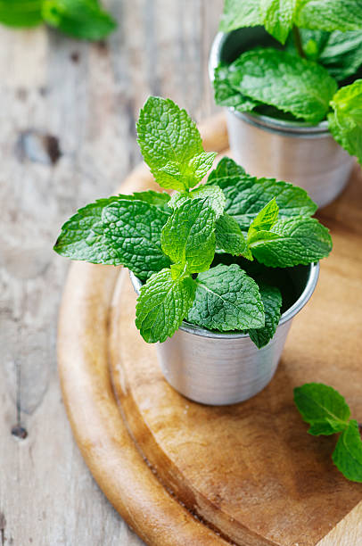 istock Green fresh mint on the wooden table 486678376