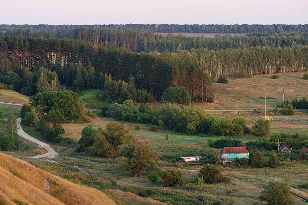 Green trees, road and meadows viewed from high hill