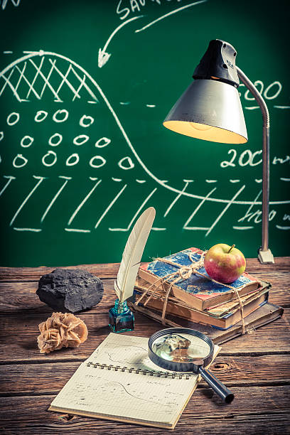 istock Examination of samples at a geography lesson 486680432