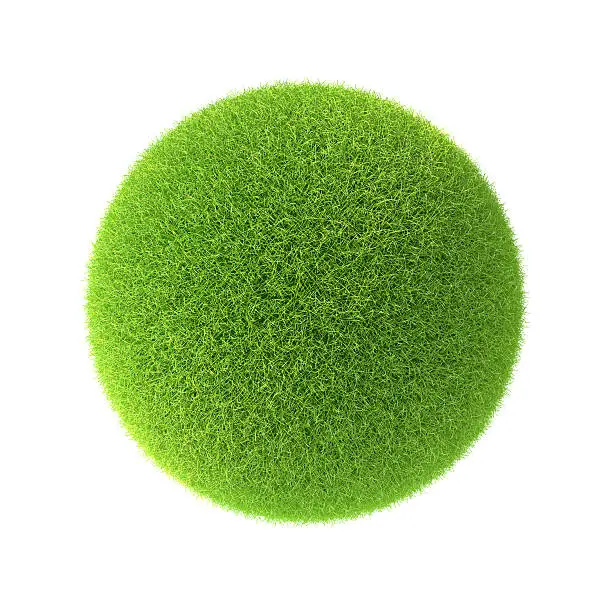 Photo of Green grass ball. Isolated on white background