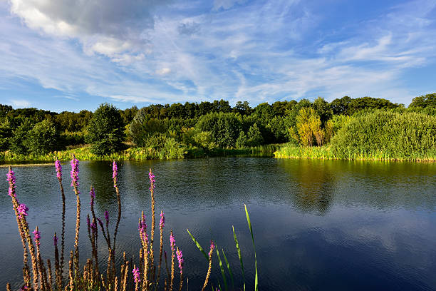 istock colors surround a small lake near Round Pond. 486683310