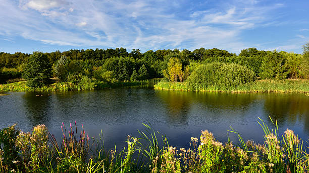 istock colors surround a small lake near Round Pond. 486683770
