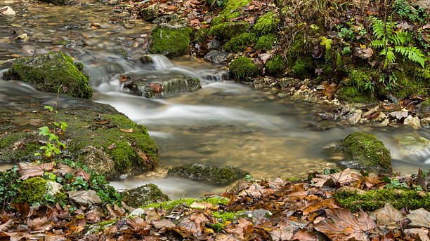printemps à l'automne - river spring waterfall water photos et images de collection