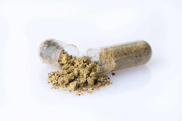 istock Detail of an Homeopathic capsule open 486688260