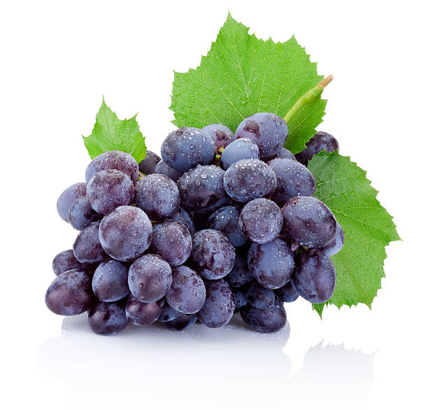 pęczek świeżych winogron z liści na białym tle - dark blue grapes zdjęcia i obrazy z banku zdjęć