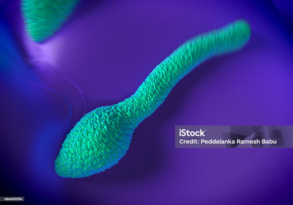 Clostridium tetani bacteria - Foto de stock de 2015 libre de derechos