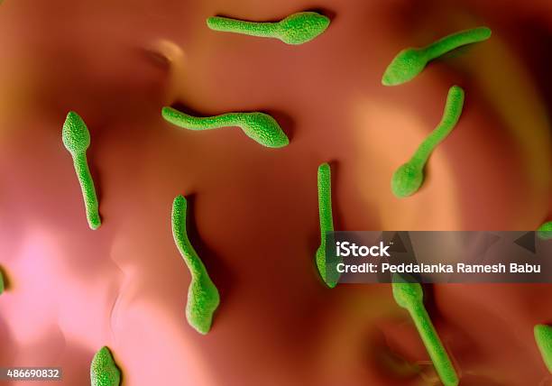 Clostridium Tetani Bacteria Foto de stock y más banco de imágenes de 2015 - 2015, Antihigiénico, Asignatura