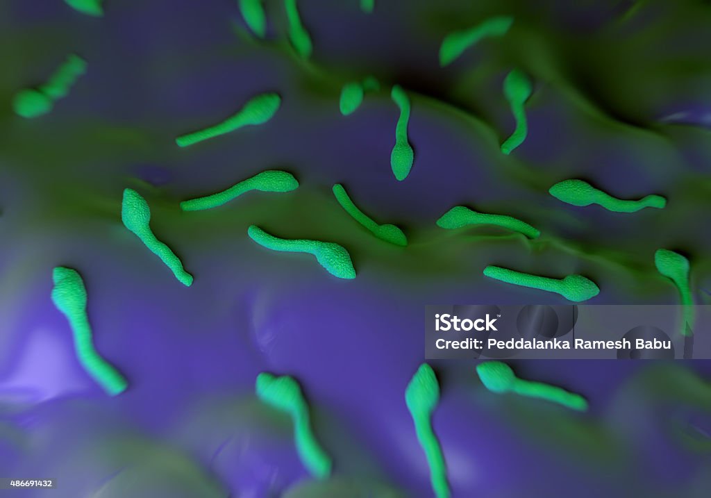 Clostridium tetani bacteria - Foto de stock de Tétanos libre de derechos