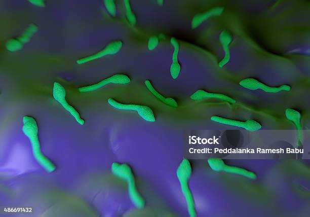 Clostridium Tetani Bacteria Foto de stock y más banco de imágenes de Tétanos - Tétanos, Clostridium, Micrografía científica